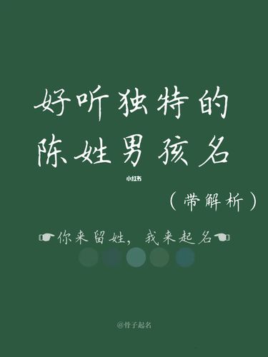 姓陈的虎宝宝起名字搞笑（虎年姓陈的男宝宝取名大全）