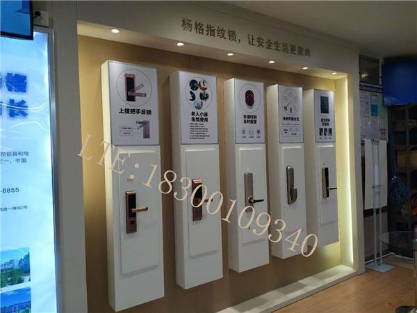 展示制品店铺起名字大全（展示制品公司）