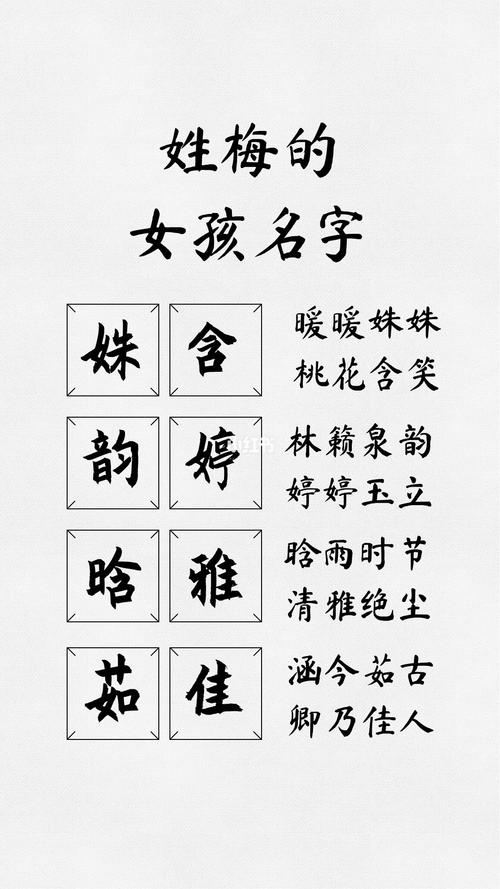 有关梅姓氏的公司起名字（姓梅的好听的名字）