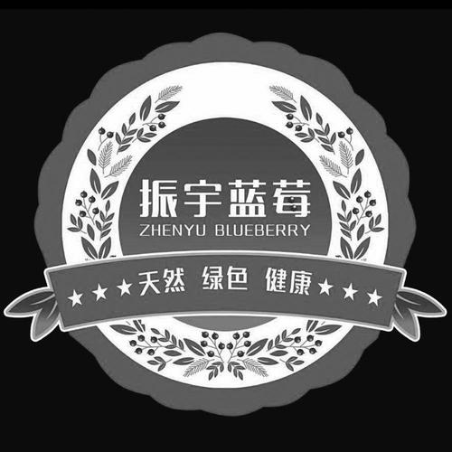 蓝莓的店铺起名大全（蓝莓注册商标起个名字）