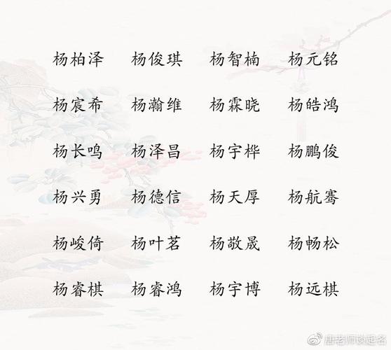 起名杨博男孩名字大全（起名杨博男孩名字大全四个字）