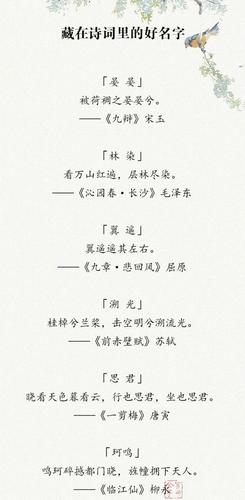 诗词给宝宝起名字（诗词给宝宝起名字怎么起）