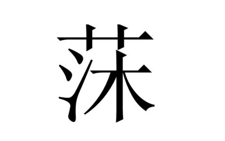 用莯给宝宝起名字（宬适合宝宝取名吗）