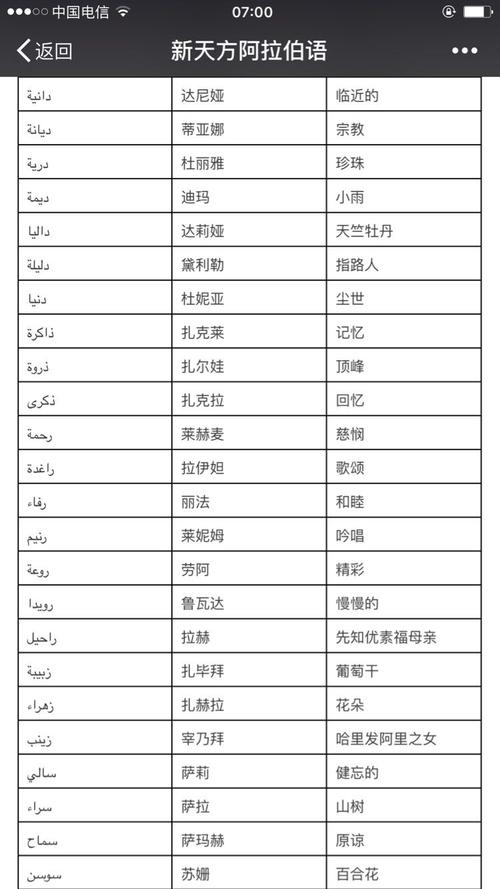 回族宝宝起名字（回族的名字男孩）