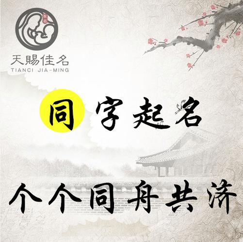 公司起名字字（公司起名字用字大全）