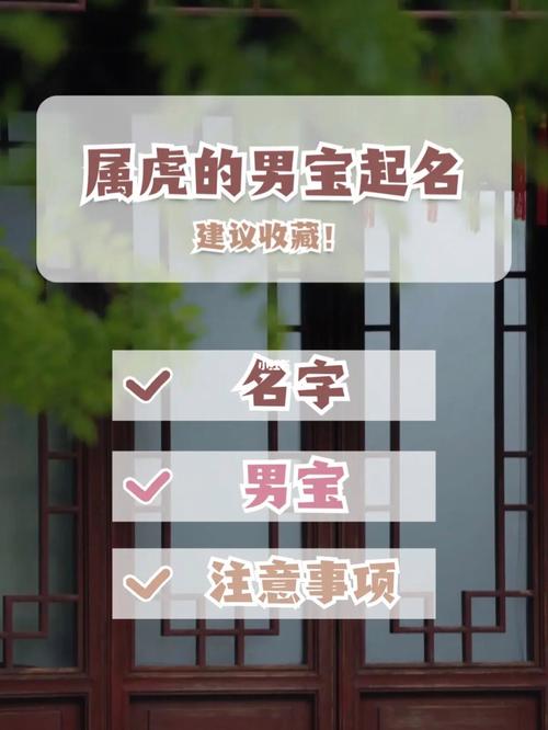 虎男孩宝宝起名字（虎宝宝男孩取名大全2021款）