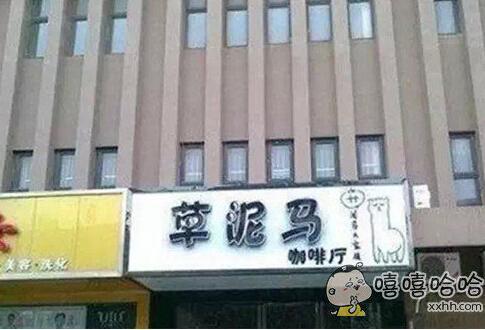 店铺起名字搞笑大全集（店名搞笑创意）