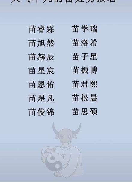 虎宝宝苗姓起名字（苗姓取名字女孩）