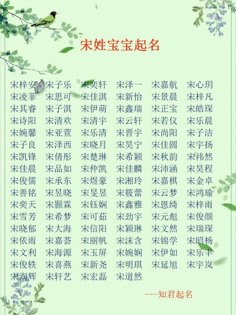 宋性宝宝起名字（宋的宝宝起名大全 2012）