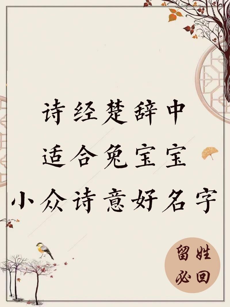 给兔宝宝起名字诗经（给兔宝宝起名字诗经好吗）