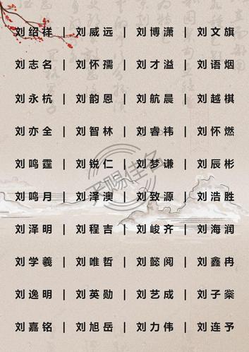 姓刘的鼠宝宝起名字（2020年适合刘姓鼠宝宝的名字）