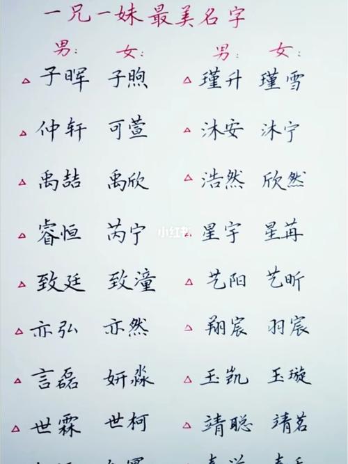 好叫龙凤胎起名字大全（龙凤胎的好名字）