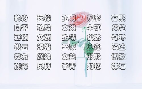 男生宝宝怎么起名字好听（男宝宝怎么起名字比较好听）