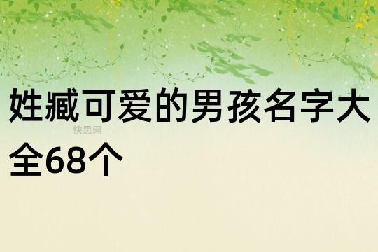 臧姓双胞胎男宝宝起名字（给姓臧的男宝宝起个名）