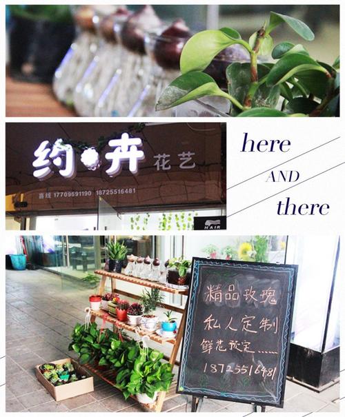 花艺养生店铺起名字大全集（养花的店名）