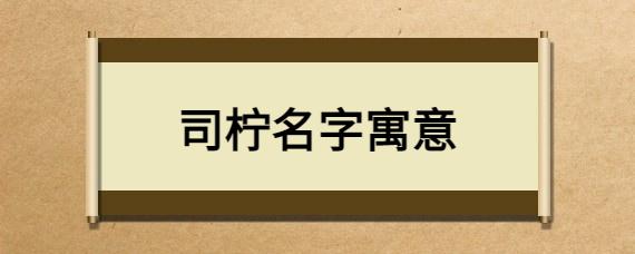 柠字起名寓意名字大全（柠字取名寓意是什么）