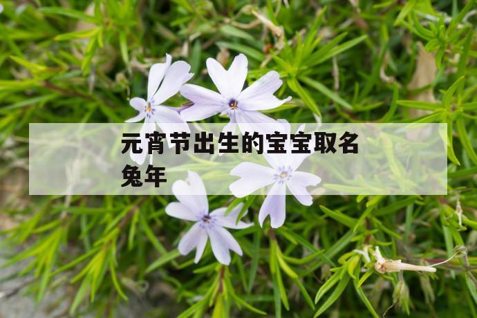 元宵生的宝宝起名字（元宵节出生的宝宝起啥名字女宝宝）