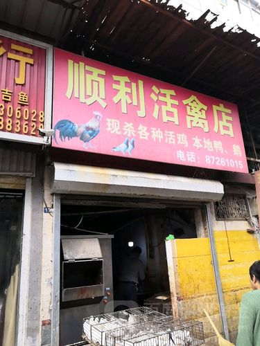 鸡鸭店铺起名字大全集（卖鸡鸭的店名叫什么）