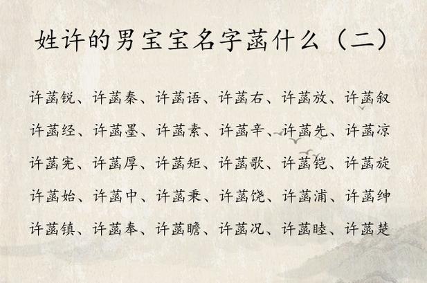 姓许宝宝起名字（姓许宝宝起名字男孩）