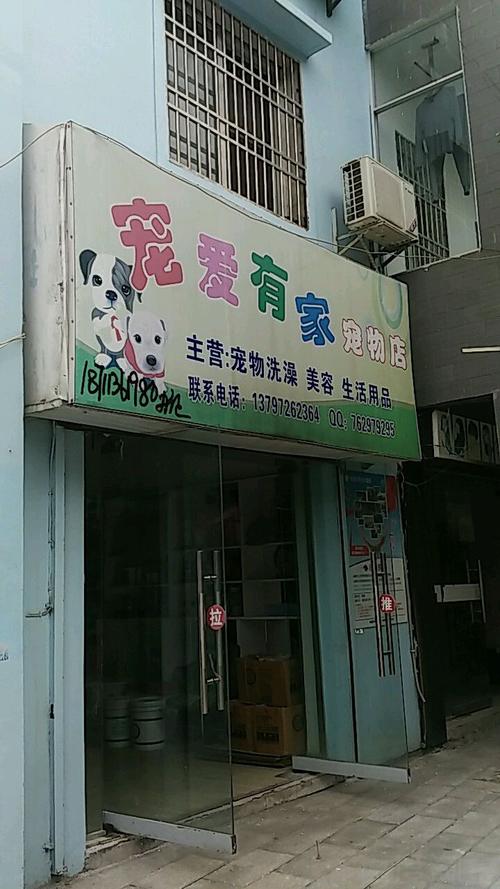 宠物店铺起名字大全可爱（宠物店起名大全2018款）