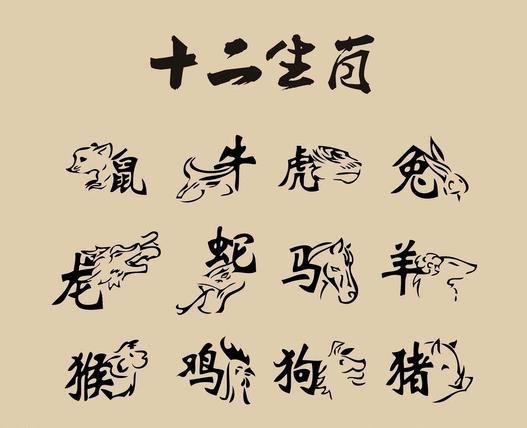 鸡名字怎么起名字大全（鸡名字怎么起名字大全四个字）