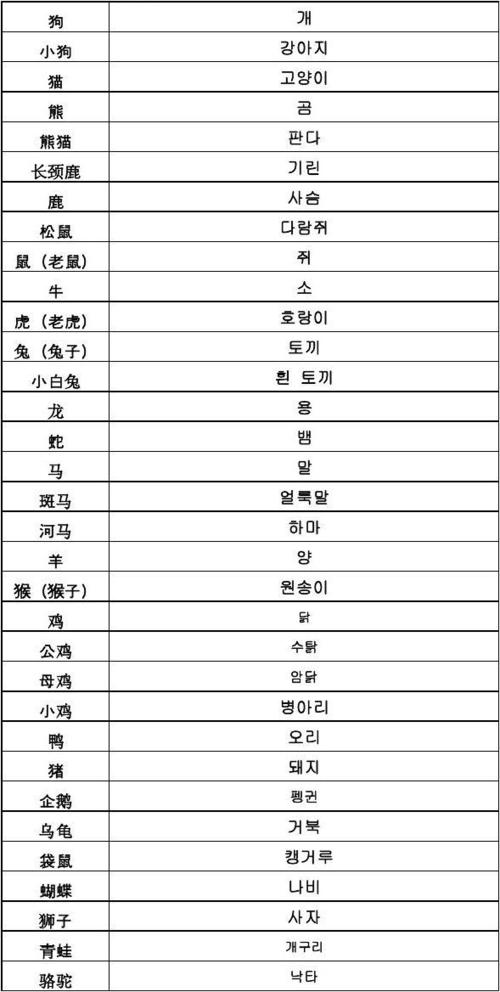 韩国人给动物起名字大全（韩国语动物名称）