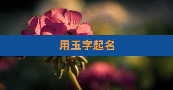 卖玉公司起名字好吗女士（卖玉起什么名字好）