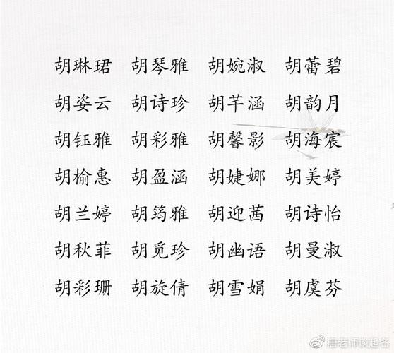 女宝宝起名字姓胡（女孩子名字姓胡）