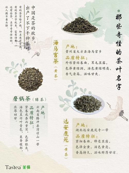 用茶叶起名创意名字大全（有创意茶叶名字大全）