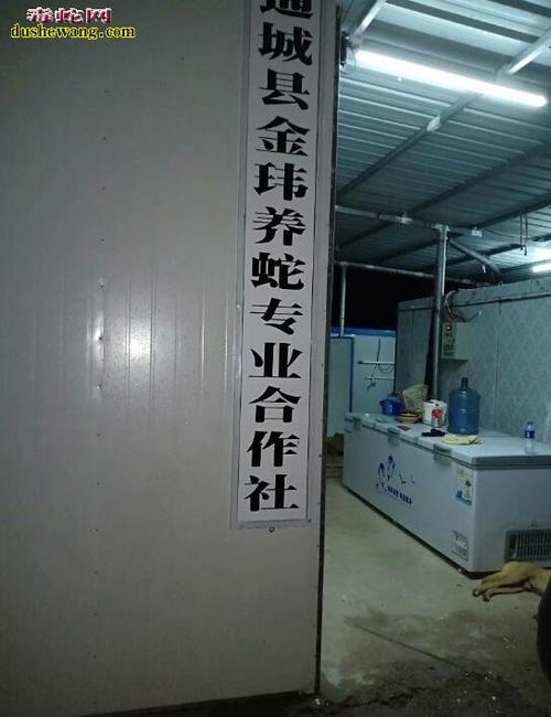 养蛇用品店铺起名字大全集（养蛇设备）