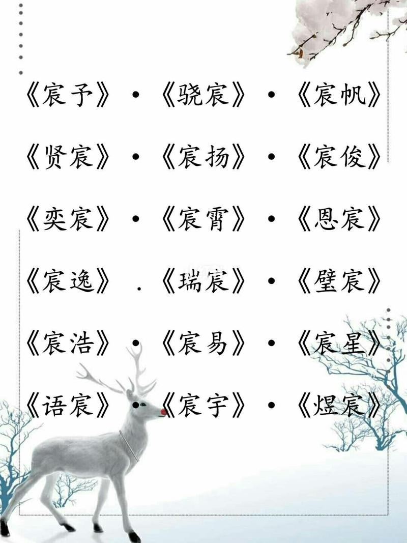 鼠宝宝怎么起名字大全（鼠宝宝取名字大全）