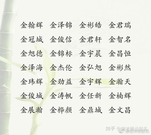 金姓起名字大全男孩（姓金的男孩取什么名字好听）