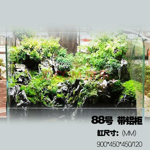 生态造景店铺起名字大全（生态造景植物）