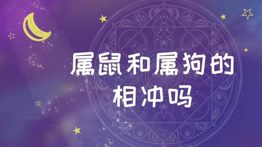 狗年属鼠女宝宝起名字宜忌（属鼠的狗狗名字）