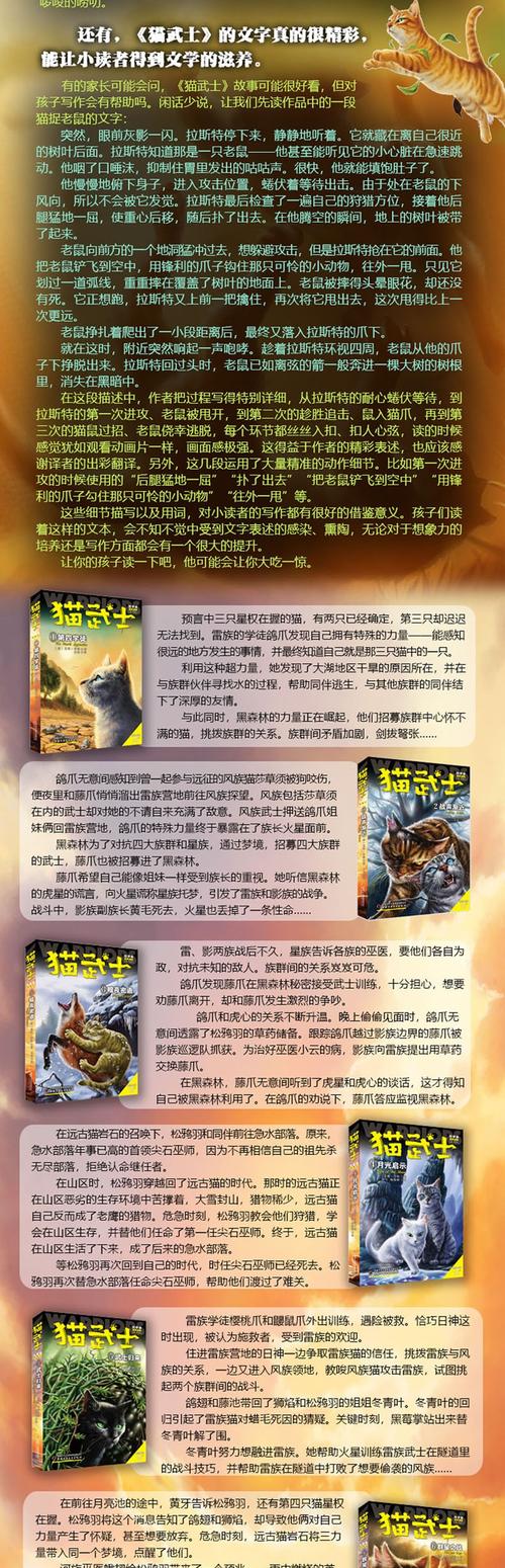 猫武士起名反派名字大全（猫武士命名规则）