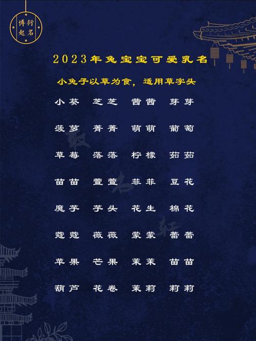 9起名字大全（起名字大全2023兔宝宝）