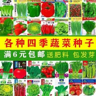 卖蔬菜种子店铺起名大全（卖蔬菜种子店铺名字）