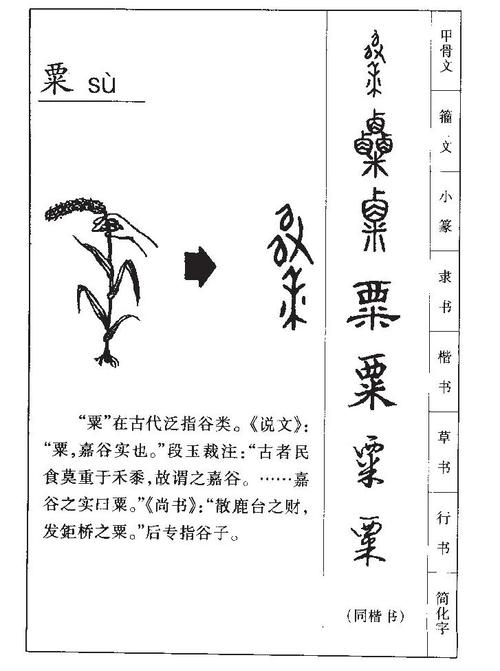 老粟起名字大全（姓粟的起什么名字好听）