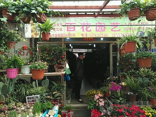 园艺取名店铺起名字大全集（园艺店铺推荐）