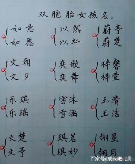 武汉双胞胎起名字大全（武汉双胞胎起名字大全四个字）