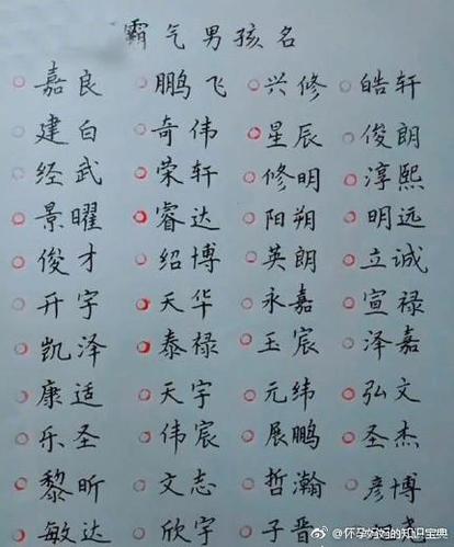 狗宝宝男宝宝起名字（狗宝宝男宝宝起名字大全集）