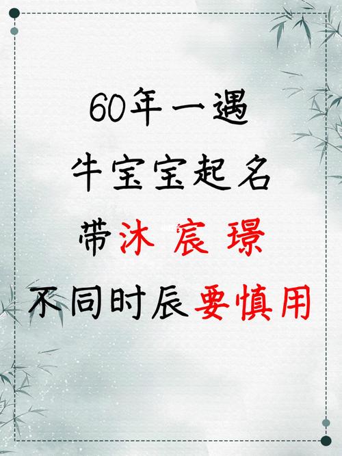 牛宝宝起名字宸（牛宝宝取名宸）