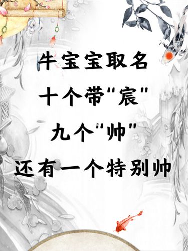 牛宝宝起名字宸（牛宝宝取名宸）