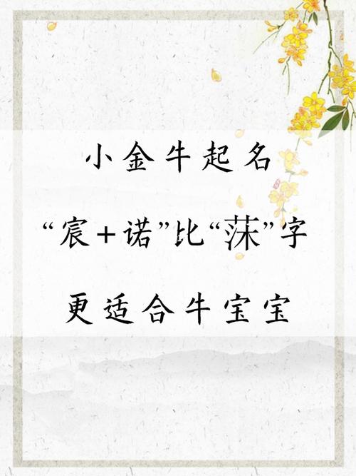 牛宝宝起名字宸（牛宝宝取名宸）