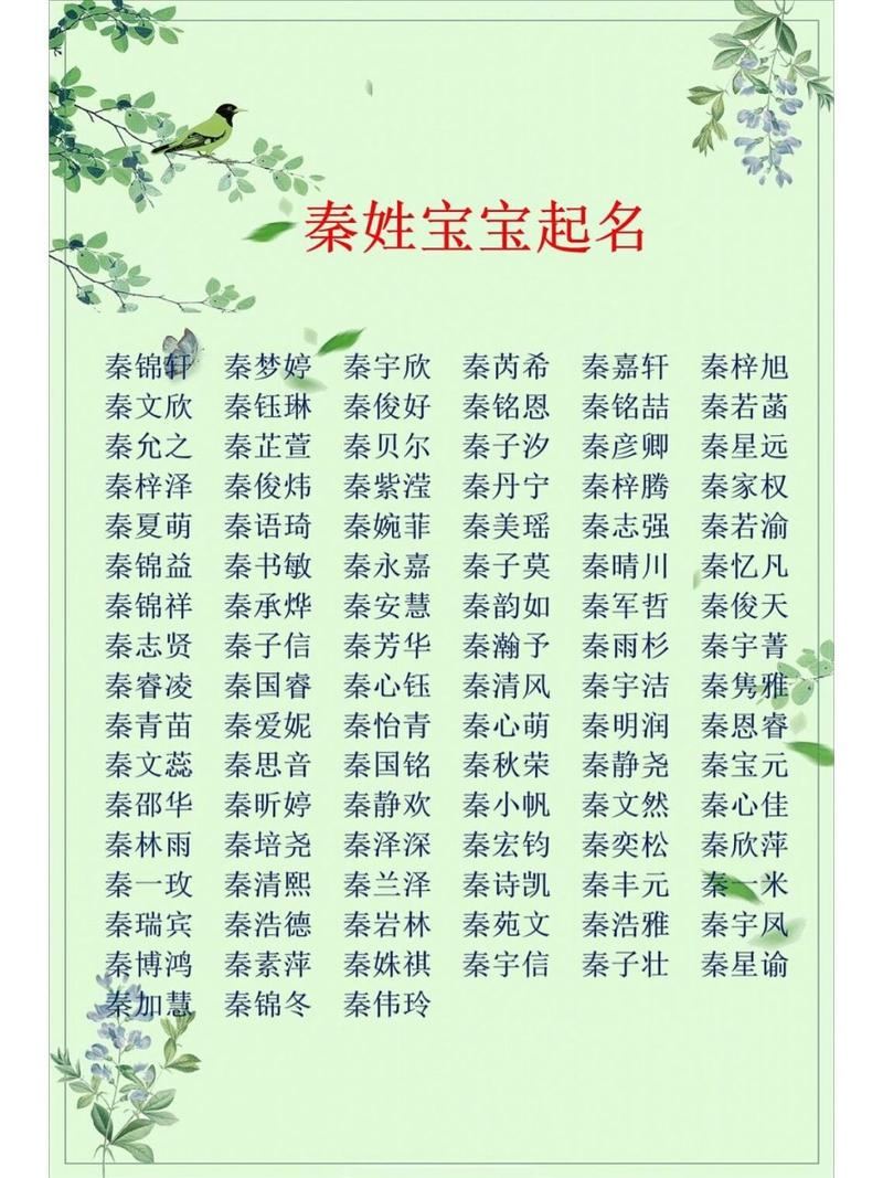 给秦宝宝起名字（给秦宝宝起名字男孩）