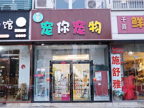 网上最火宠物店铺起名大全（网上最火宠物店铺起名大全四个字）