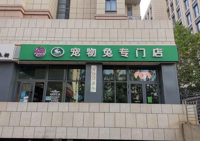 兔子店铺起名字大全（用兔子取店名）