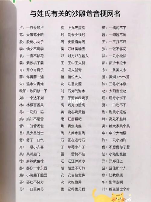 谐音梗起名名字大全（谐音梗取名字）