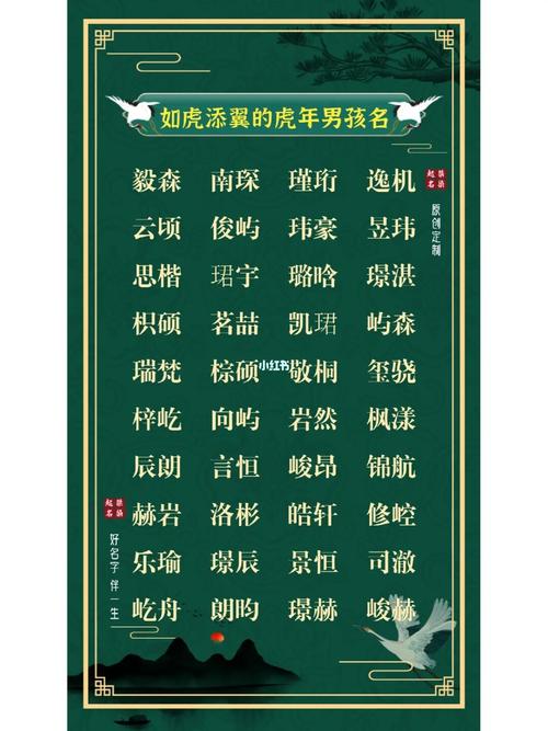 虎年男孩子起名字大全大全（虎年男孩的名字）