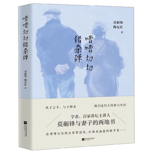 嘈嘈切切错杂弹下一句_嘈嘈切切错杂弹下一句是什么